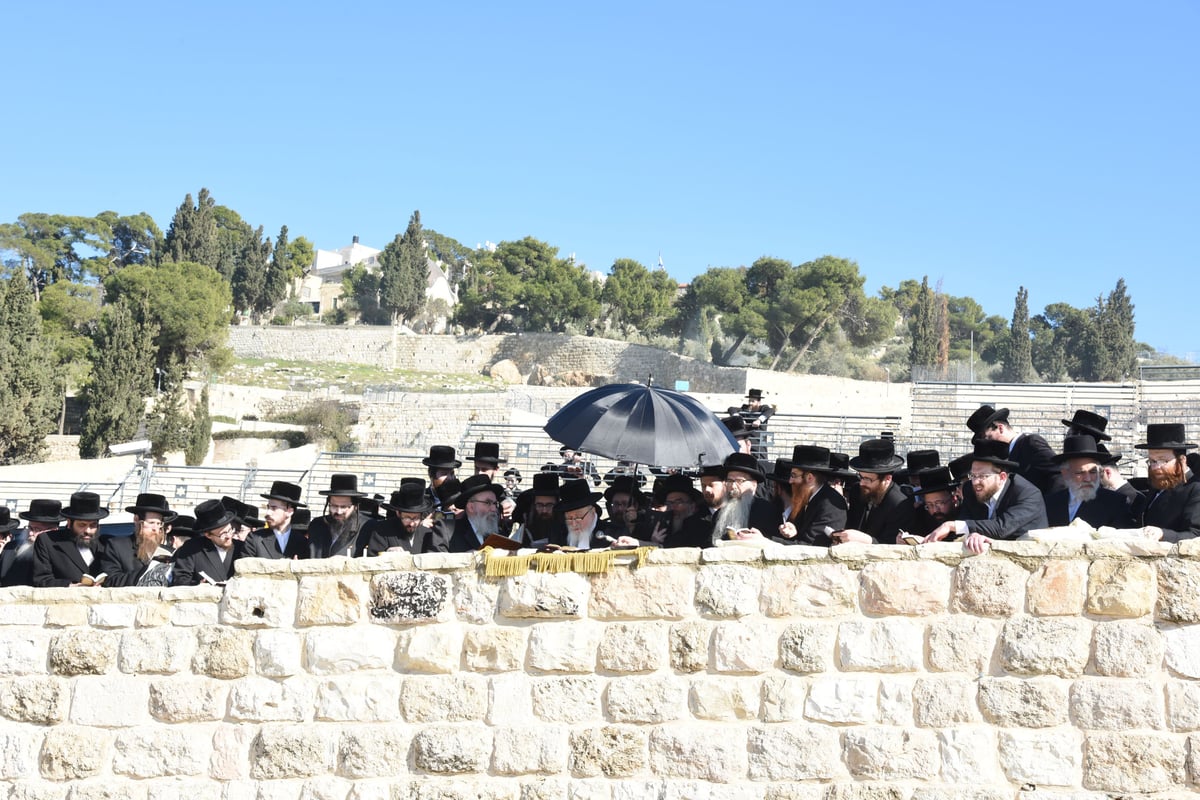 מסע הרבי מסקווירא בהר הזיתים • גלריה