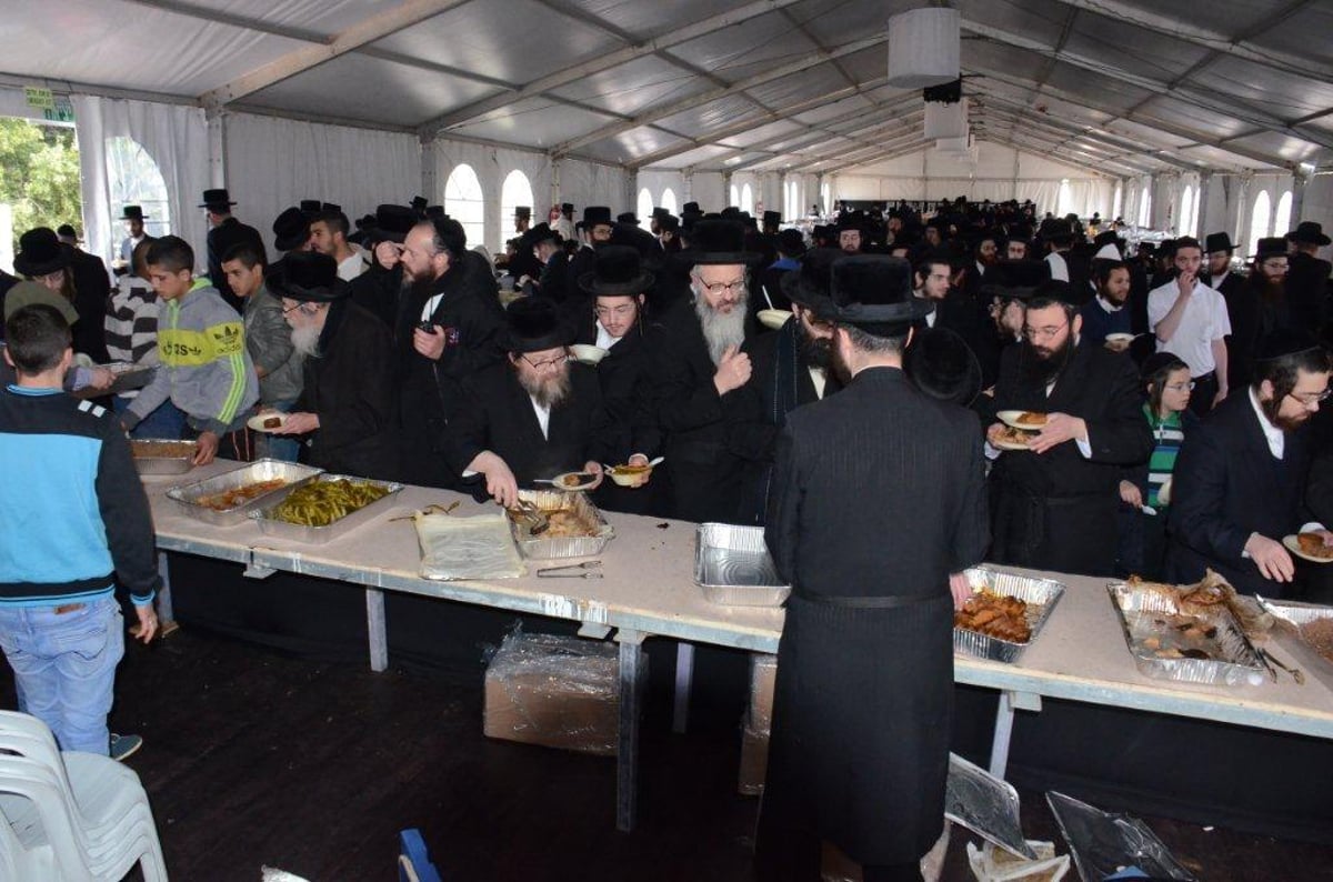 תיעוד ענק: הרבי מסקווירא שבת במירון