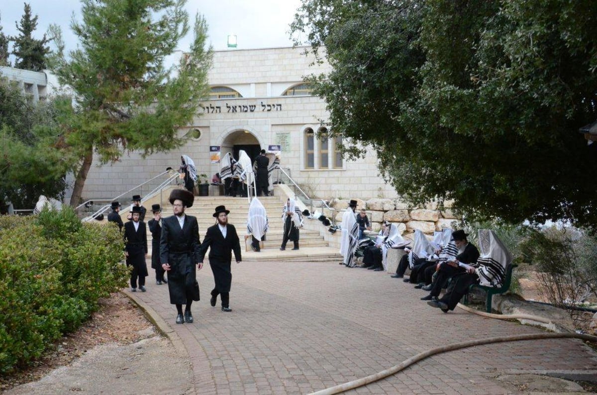 תיעוד ענק: הרבי מסקווירא שבת במירון