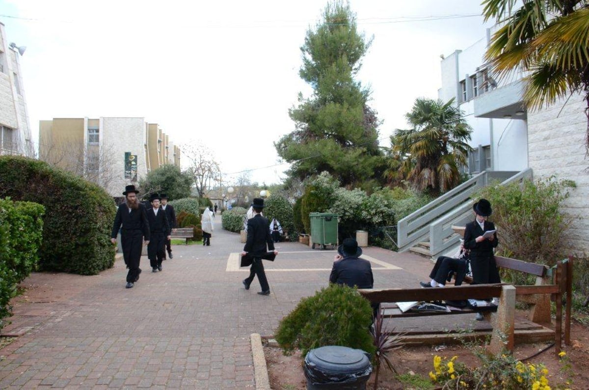 תיעוד ענק: הרבי מסקווירא שבת במירון