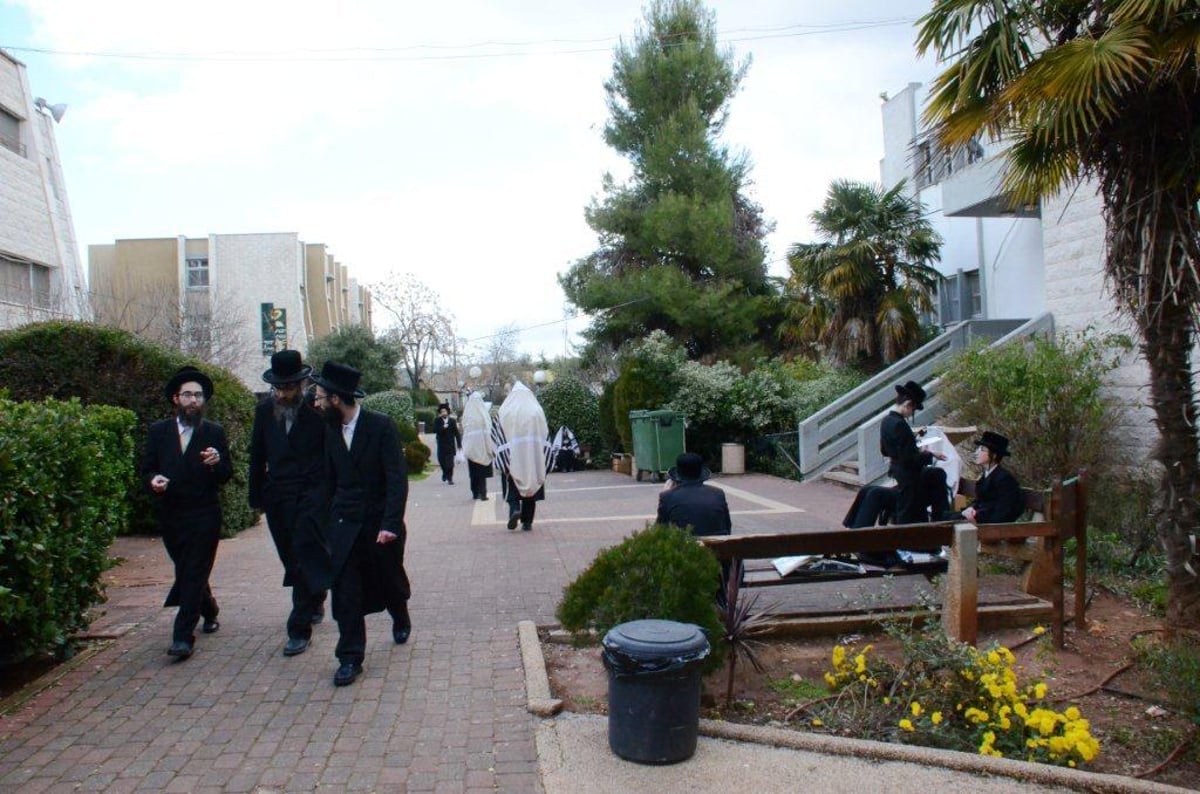 תיעוד ענק: הרבי מסקווירא שבת במירון