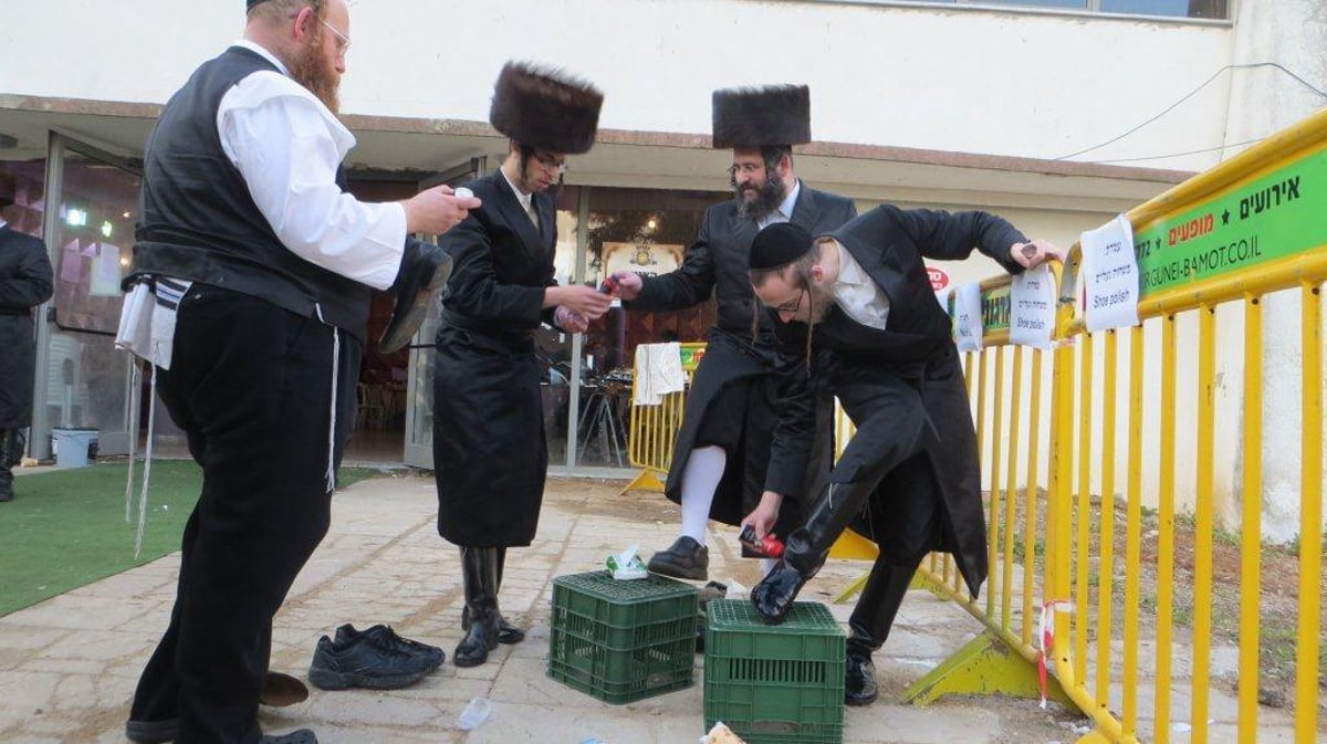 תיעוד ענק: הרבי מסקווירא שבת במירון