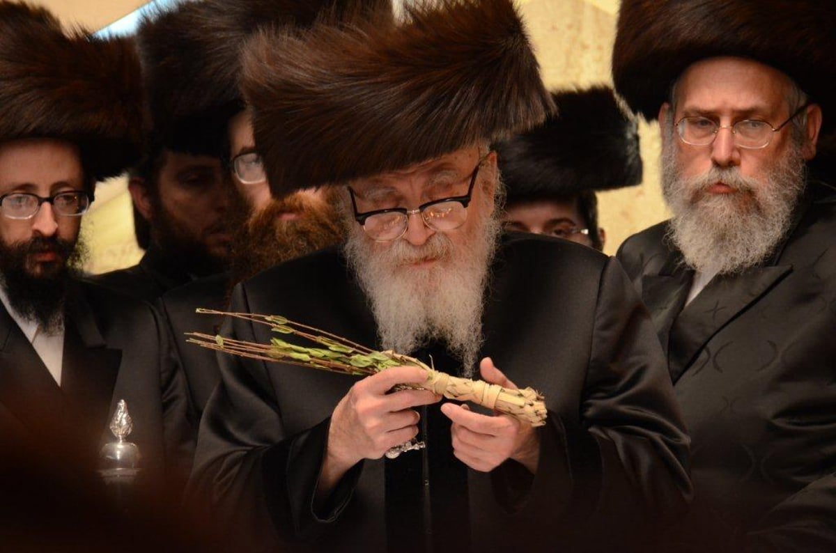 תיעוד ענק: הרבי מסקווירא שבת במירון