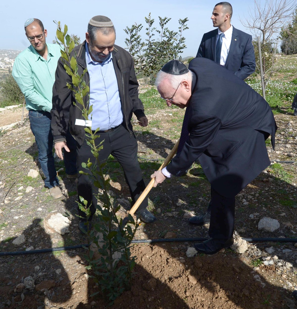 ריבלין ניחם ושתל עץ לזכרה של דפנה מאיר הי"ד • צפו