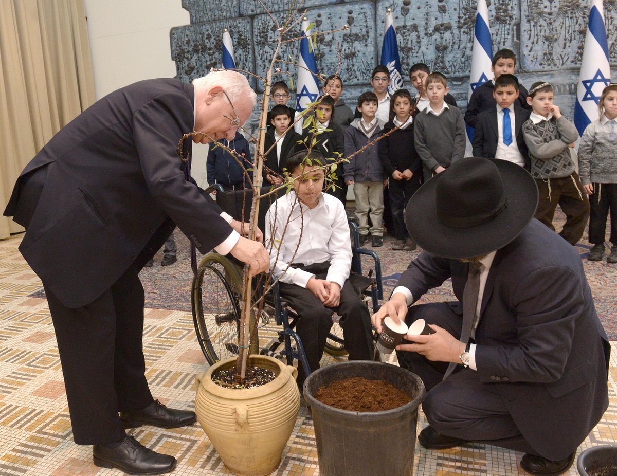 ילדי חינוך מיוחד חרדי מאלעד התארחו אצל הנשיא ריבלין