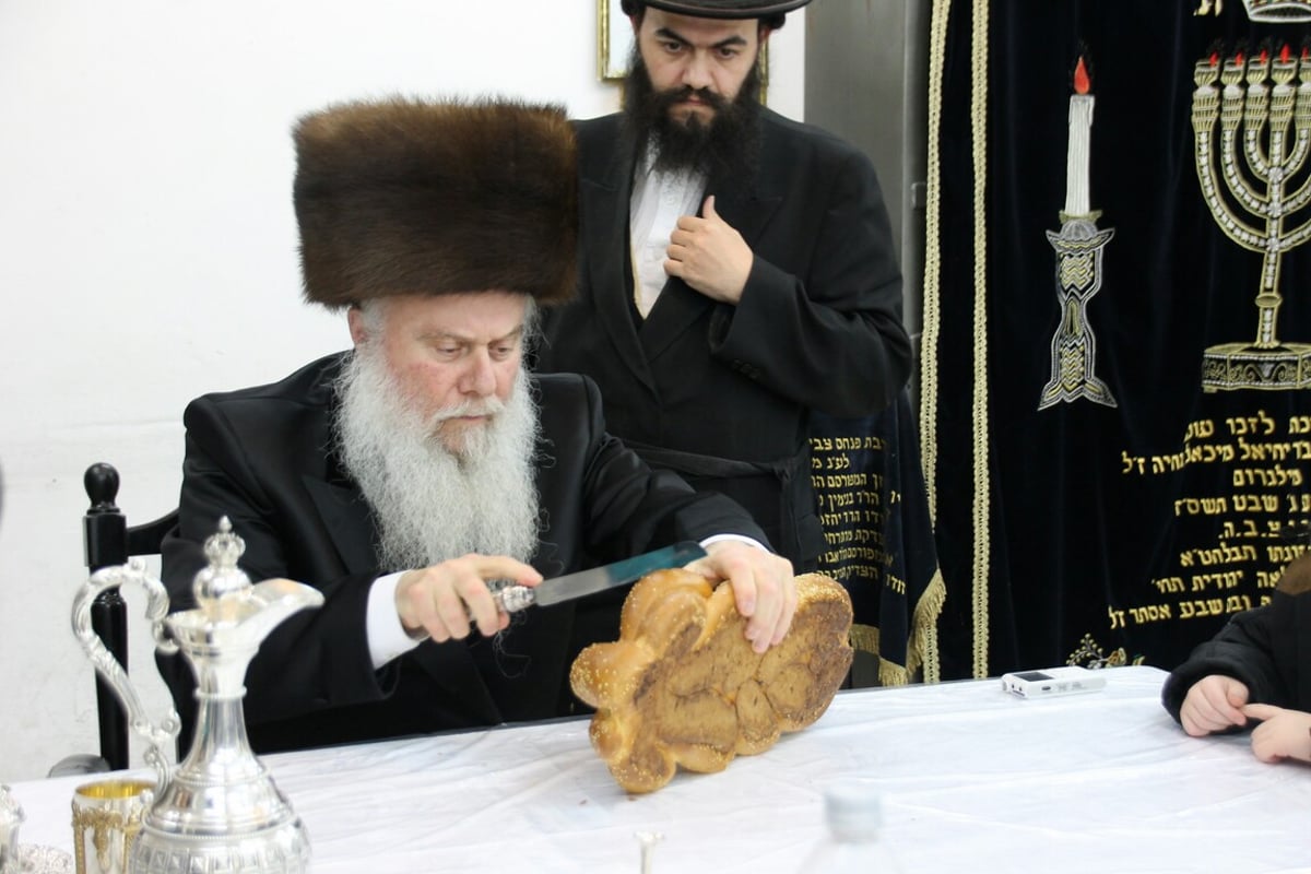 טיש ט"ו בשבט בחצרות האדמו"רים • גלריה