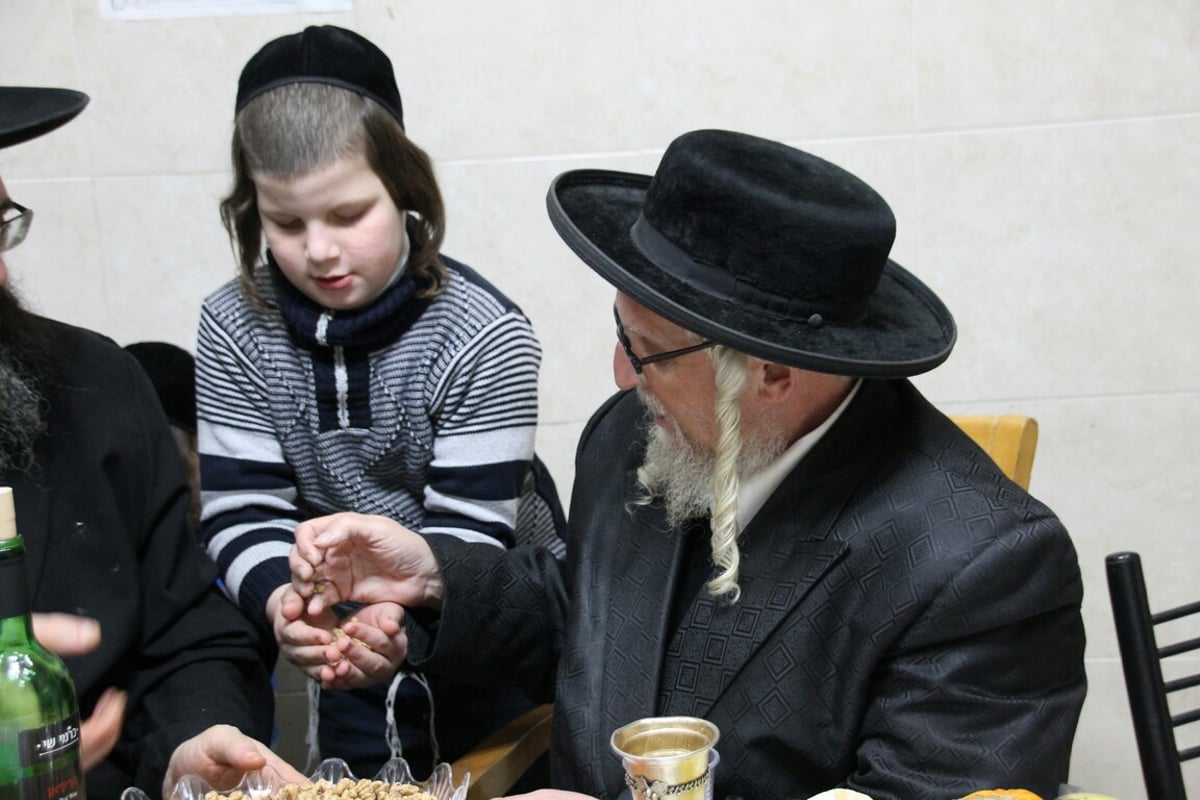 טיש ט"ו בשבט בחצרות האדמו"רים • גלריה