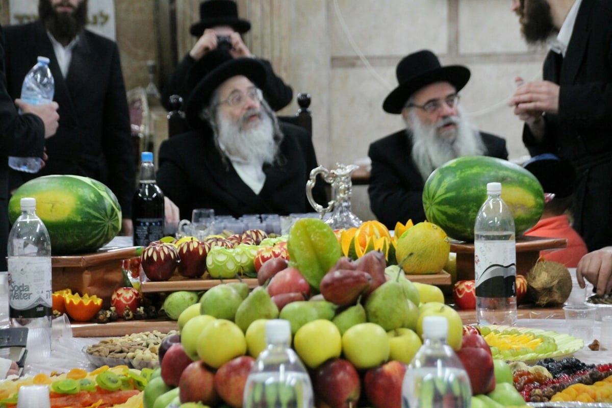 טיש ט"ו בשבט בחצרות האדמו"רים • גלריה