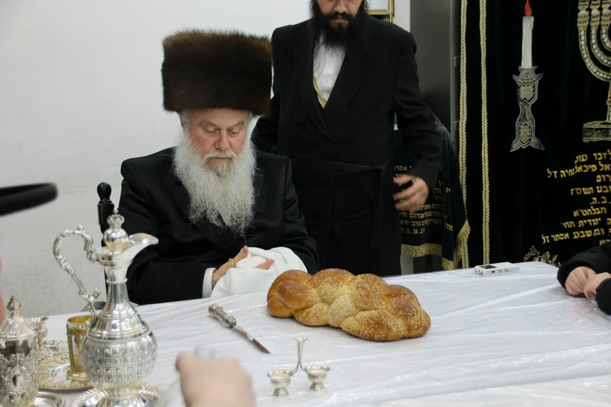 טיש ט"ו בשבט בחצרות האדמו"רים • גלריה