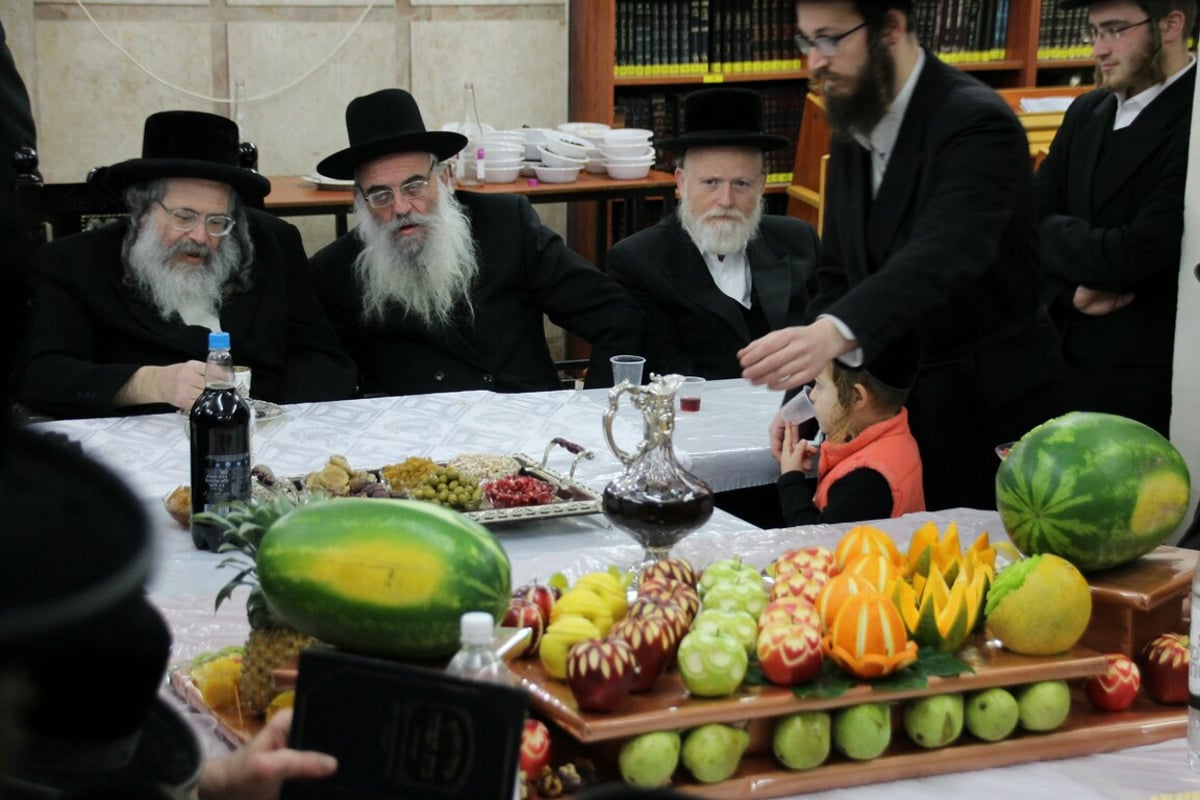 טיש ט"ו בשבט בחצרות האדמו"רים • גלריה