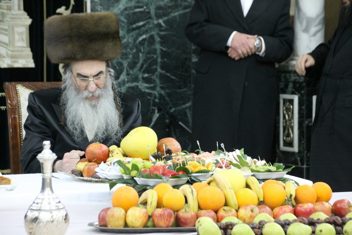 טיש ט"ו בשבט בחצרות האדמו"רים • גלריה