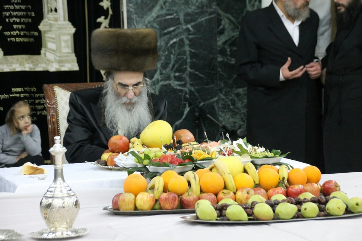 טיש ט"ו בשבט בחצרות האדמו"רים • גלריה