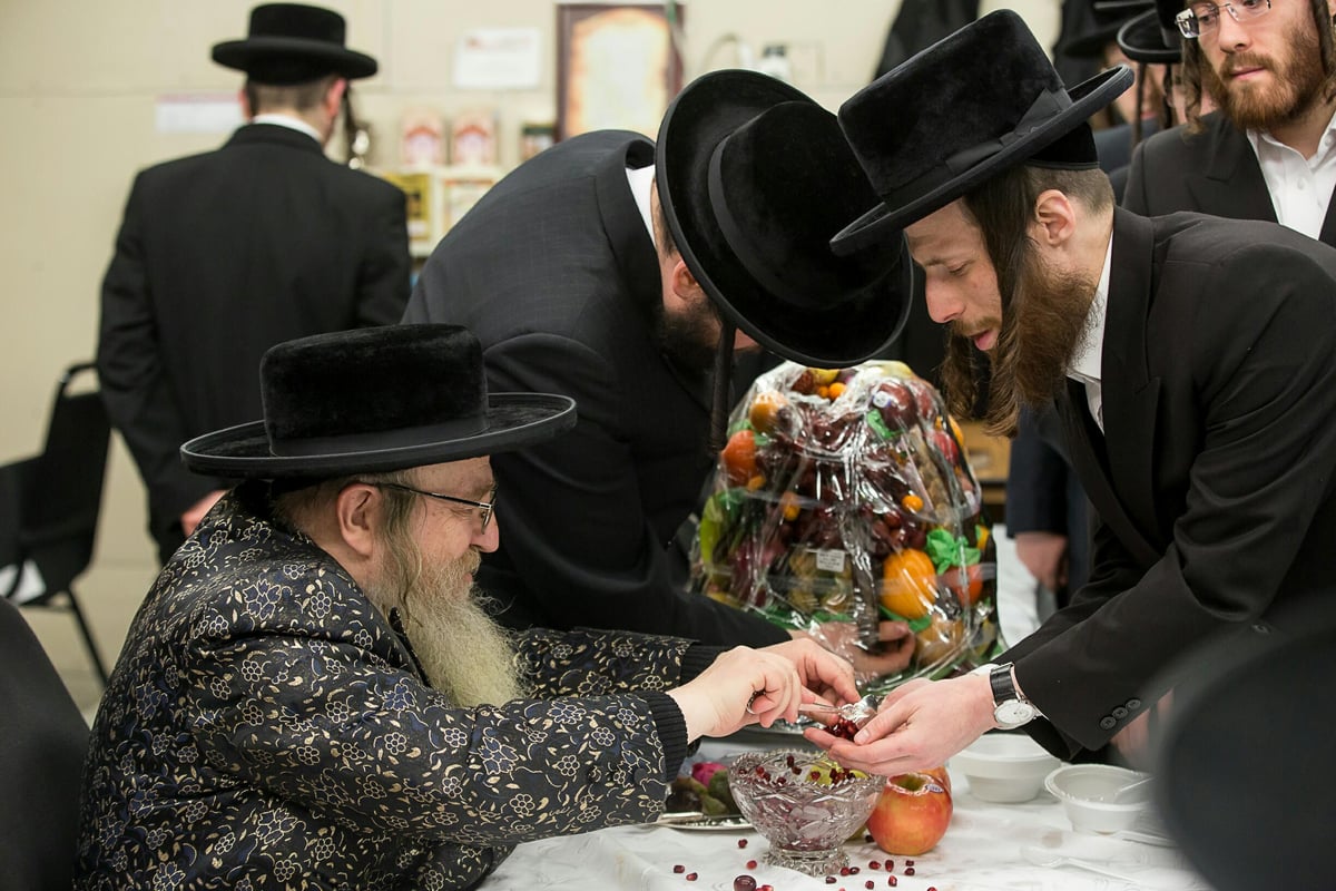 תיעוד מניו יורק: ט"ו בשבט בצל השלג הכבד