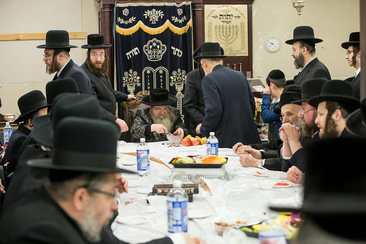 תיעוד מניו יורק: ט"ו בשבט בצל השלג הכבד