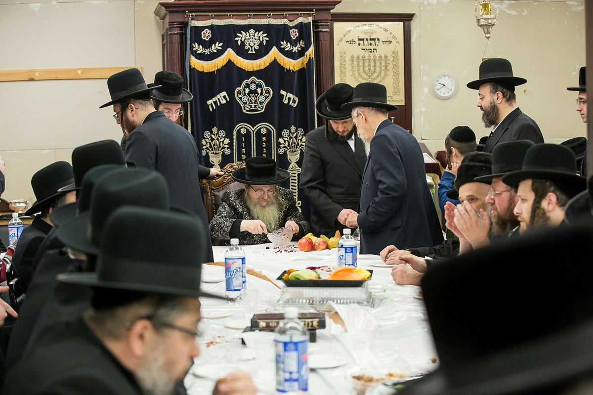 תיעוד מניו יורק: ט"ו בשבט בצל השלג הכבד