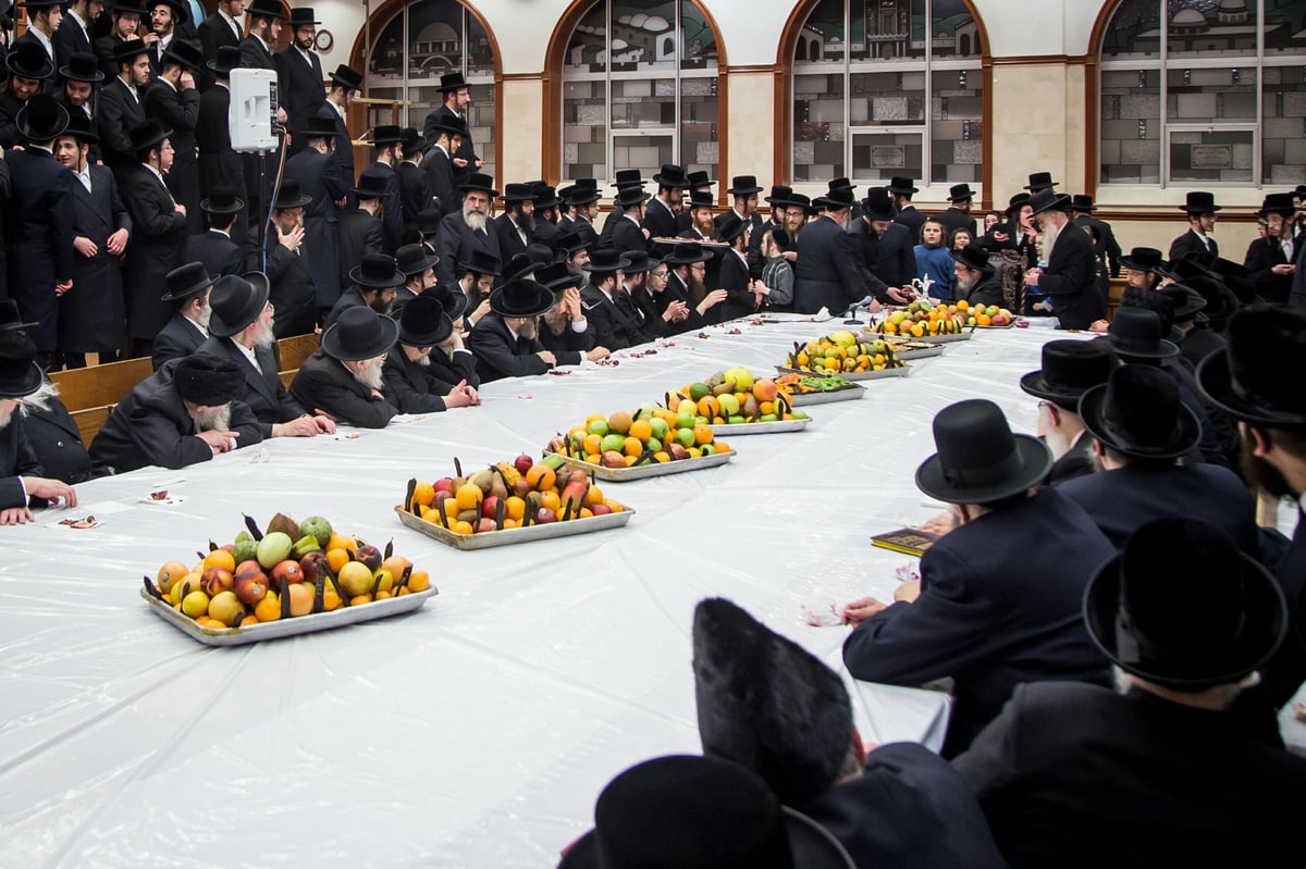 תיעוד מניו יורק: ט"ו בשבט בצל השלג הכבד