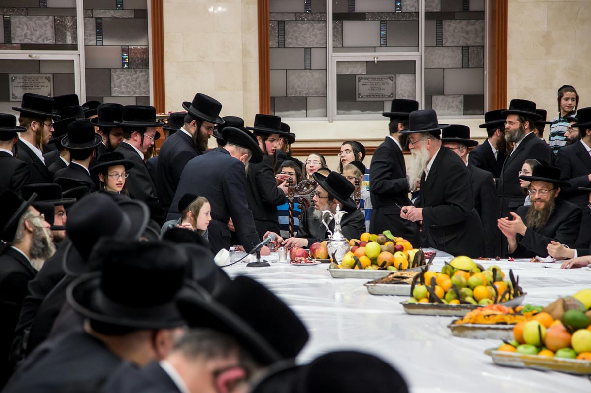 תיעוד מניו יורק: ט"ו בשבט בצל השלג הכבד