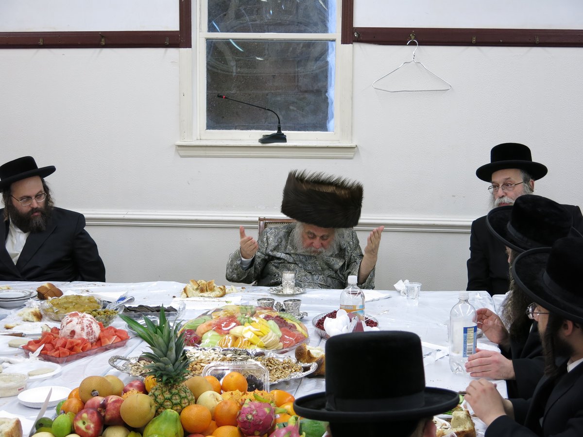 תיעוד מניו יורק: ט"ו בשבט בצל השלג הכבד