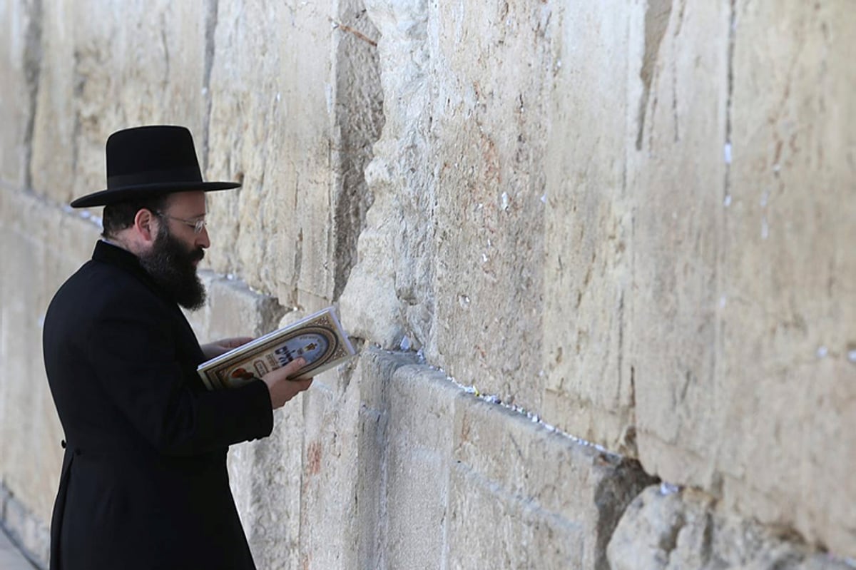 הרב שמואל רבינוביץ בכותל המערבי. נשות הכותל יפסיקו את הפרובוקציות במקום