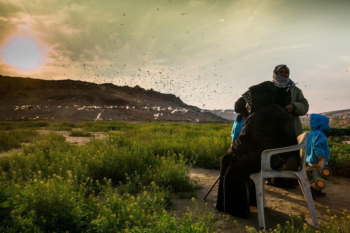 הריקוד של הזרזירים • תמונות מרהיבות