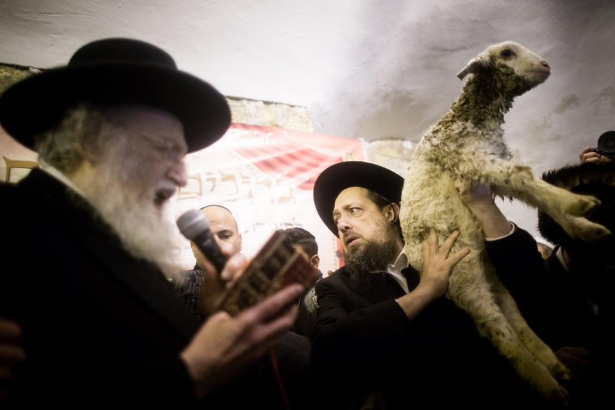 חגיגה בקבר דוד המלך: פדיון פטר חמור ומינוי רב