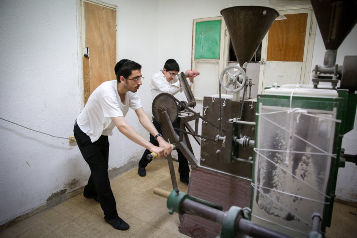 צפו: בבני ברק טוחנים חיטים לכבוד חג הפסח