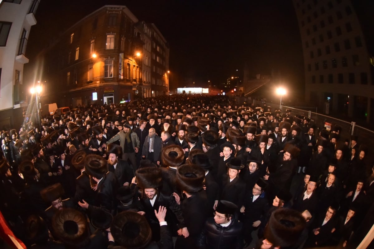 גלריה מסכמת: האדמו"ר מויז'ניץ כבש את אנטוורפן