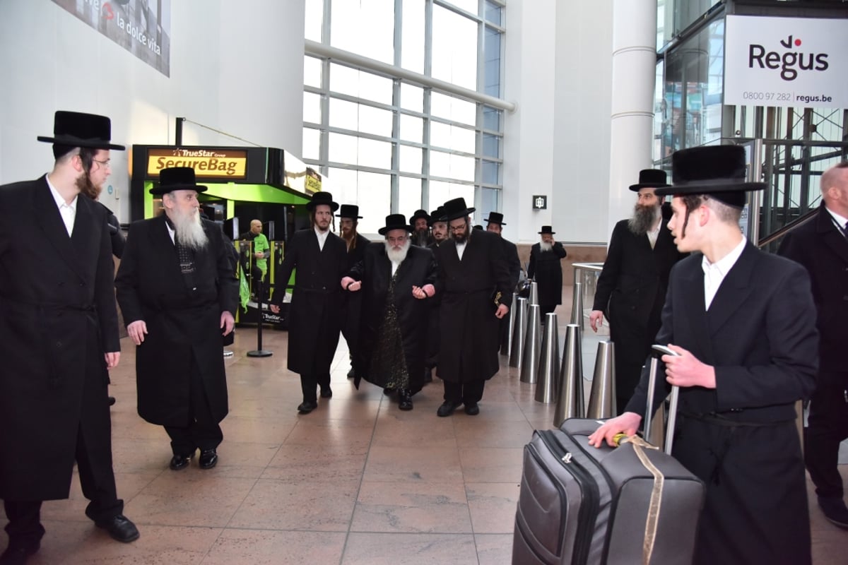 גלריה מסכמת: האדמו"ר מויז'ניץ כבש את אנטוורפן