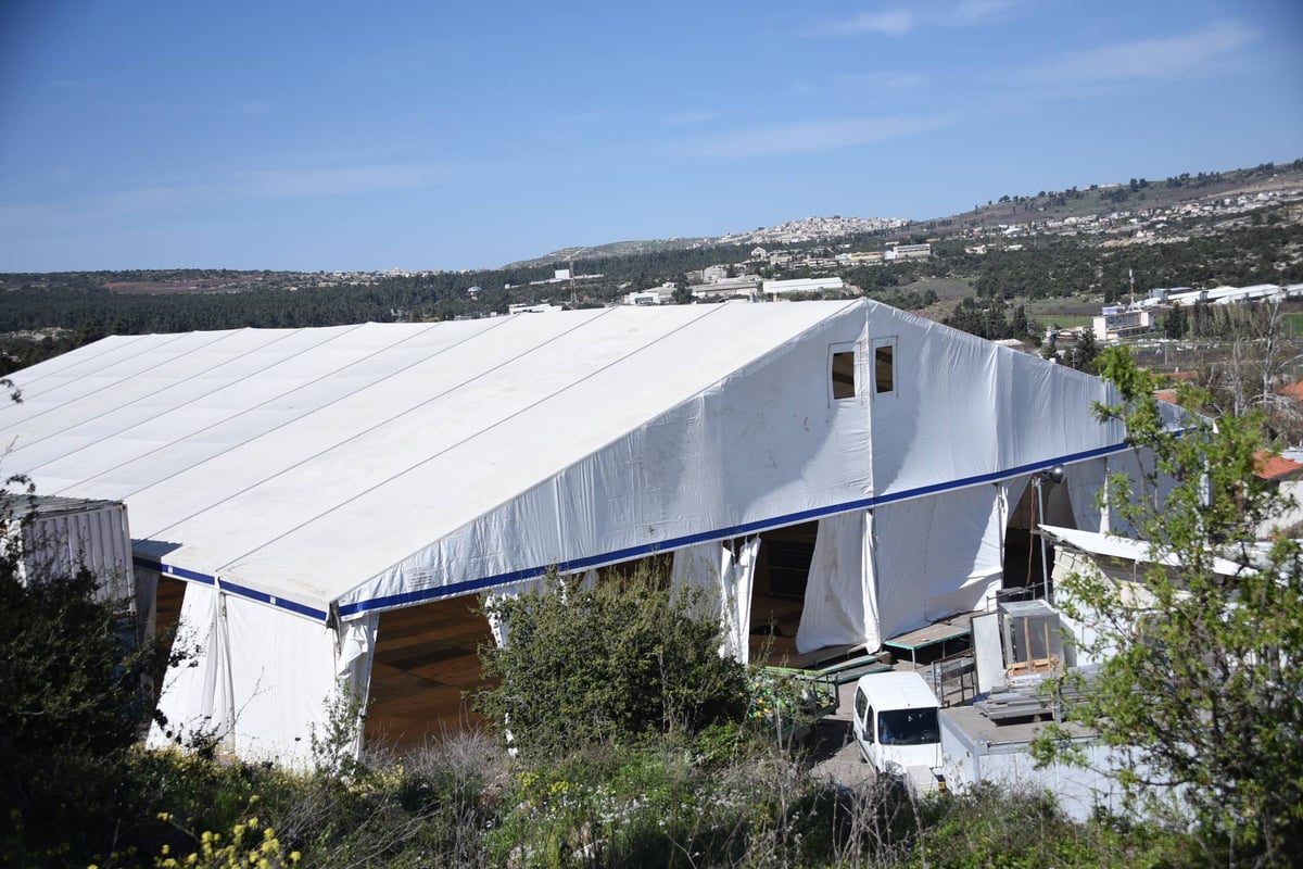 מסע הרבי מסאטמר בישראל יוצא לדרך