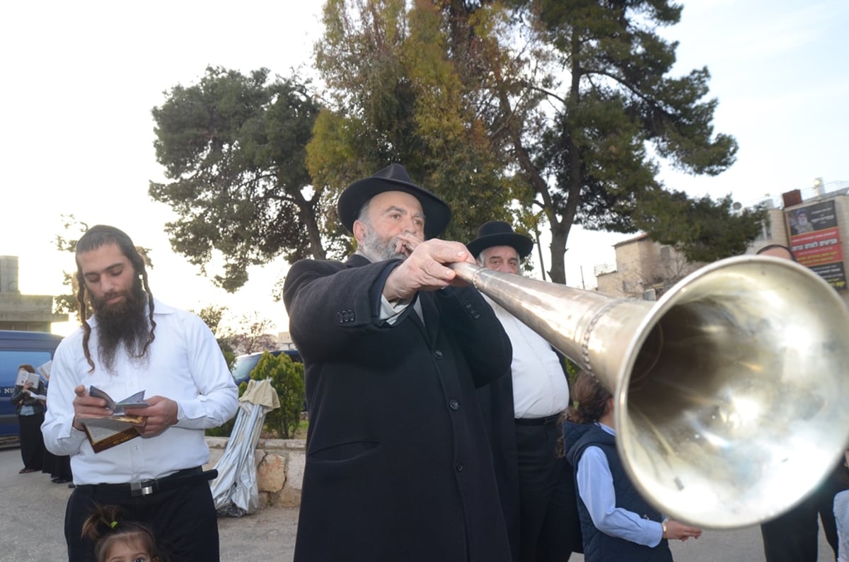 הרב דוד בצרי: "כל אחד יביא לפחות 12 ילדים" • צפו