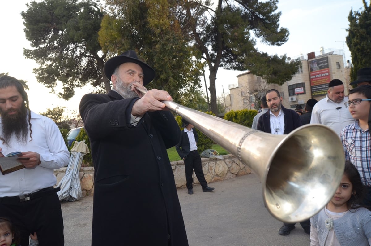 הרב דוד בצרי: "כל אחד יביא לפחות 12 ילדים" • צפו