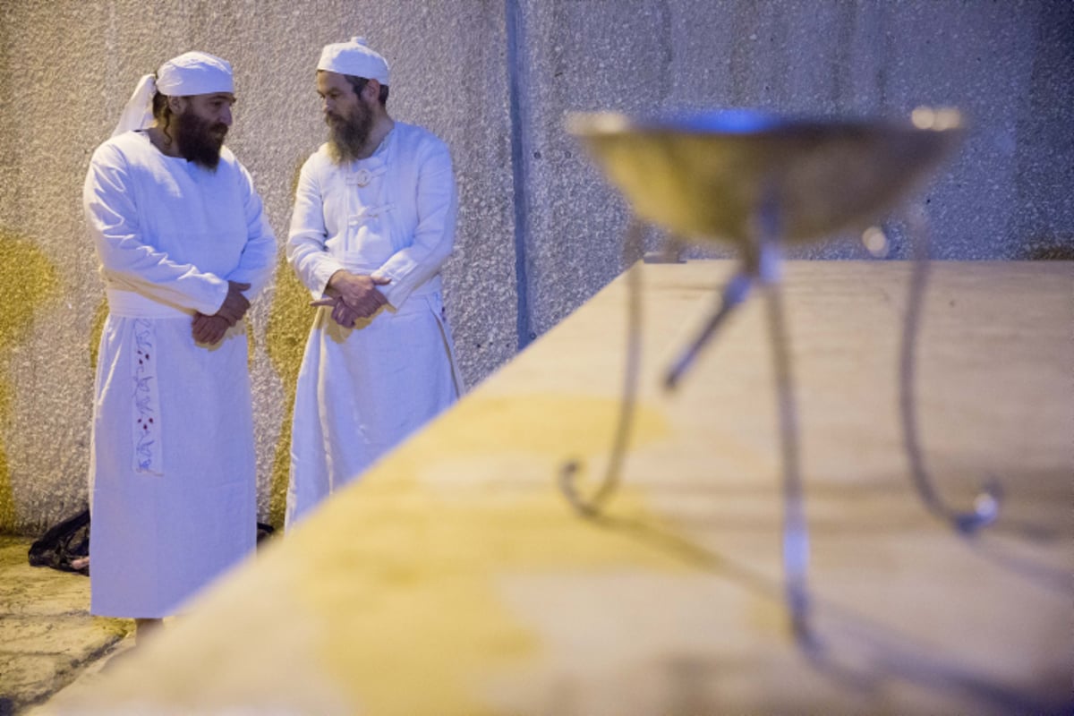 שחזור: עבודת הקורבנות בבית המקדש • צפו