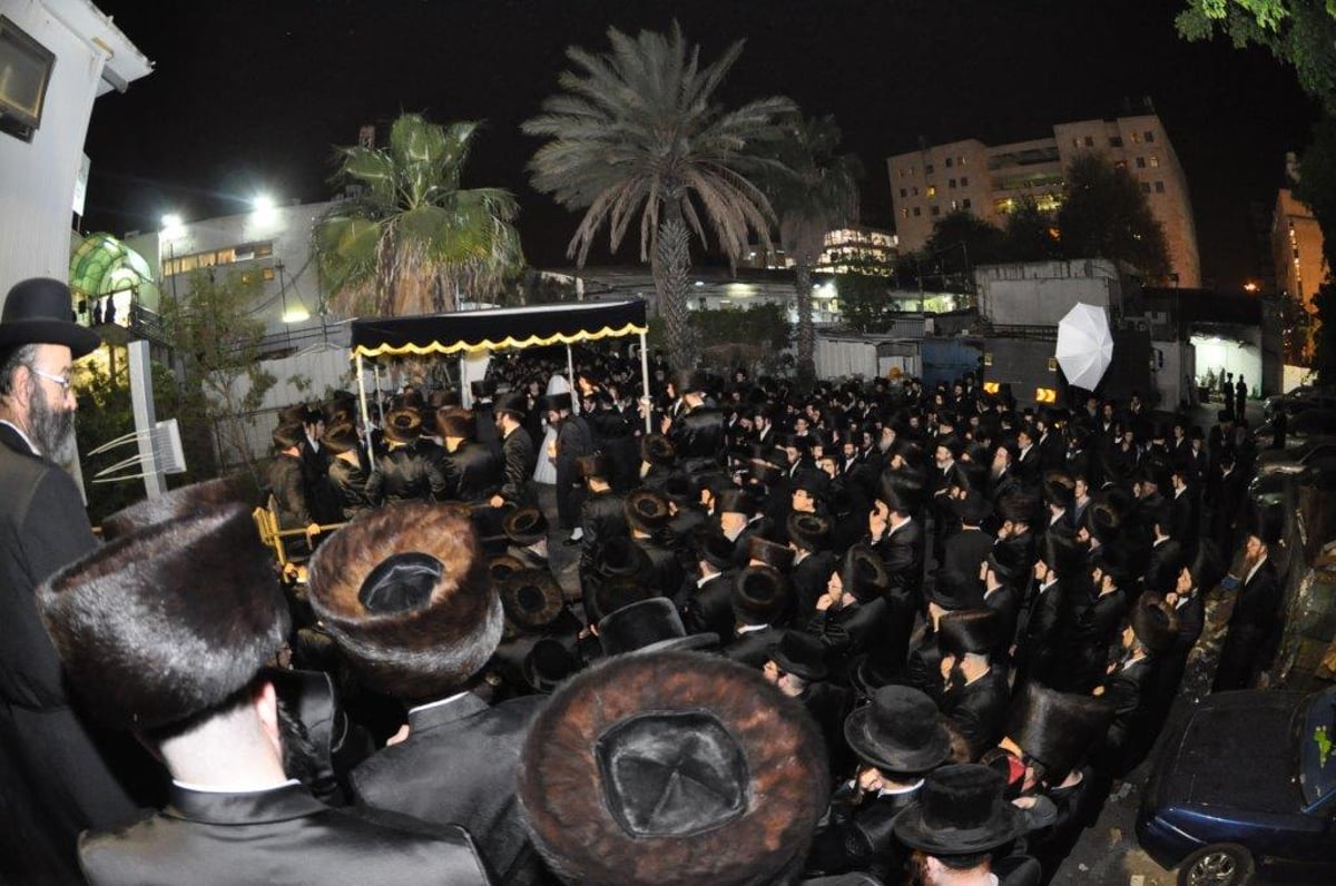 חתונת נינו של הרבי מערלוי זצ"ל • גלריה