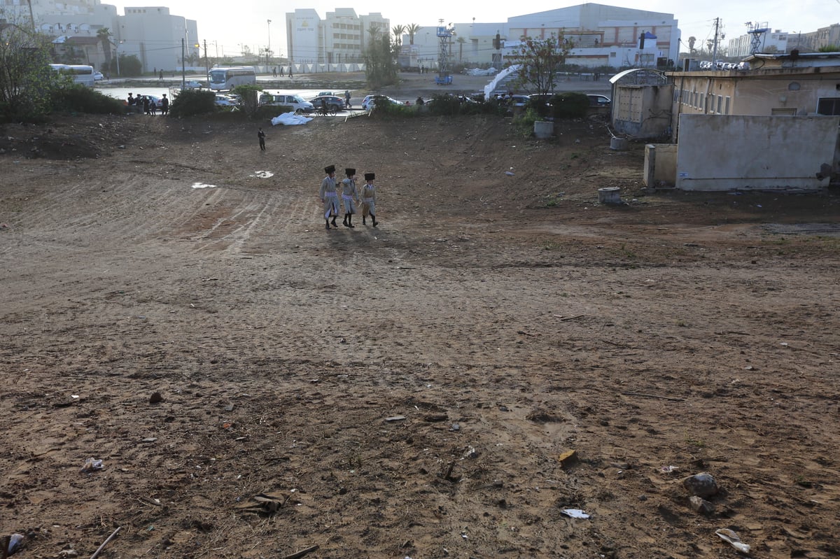 בכרכרה עם סוסים • צפו בגלריה מחתונת צאנז