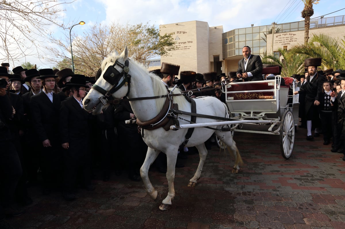 בכרכרה עם סוסים • צפו בגלריה מחתונת צאנז