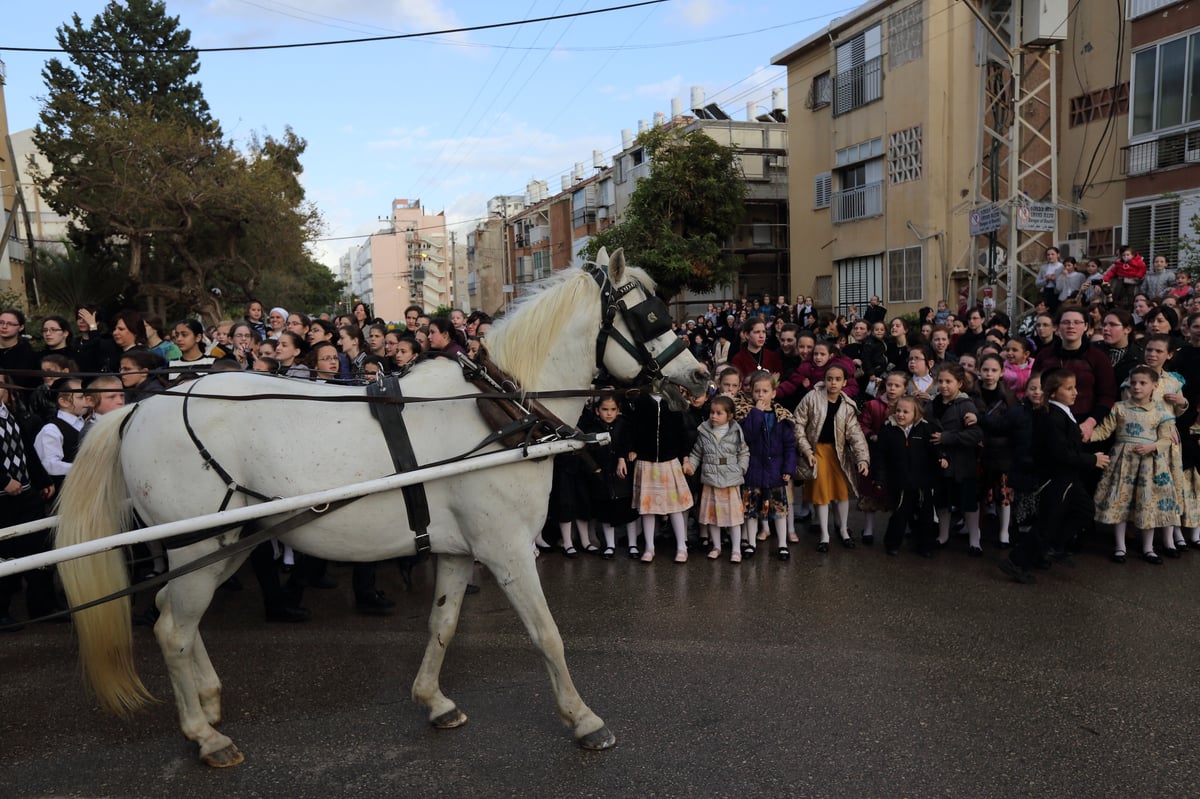 בכרכרה עם סוסים • צפו בגלריה מחתונת צאנז