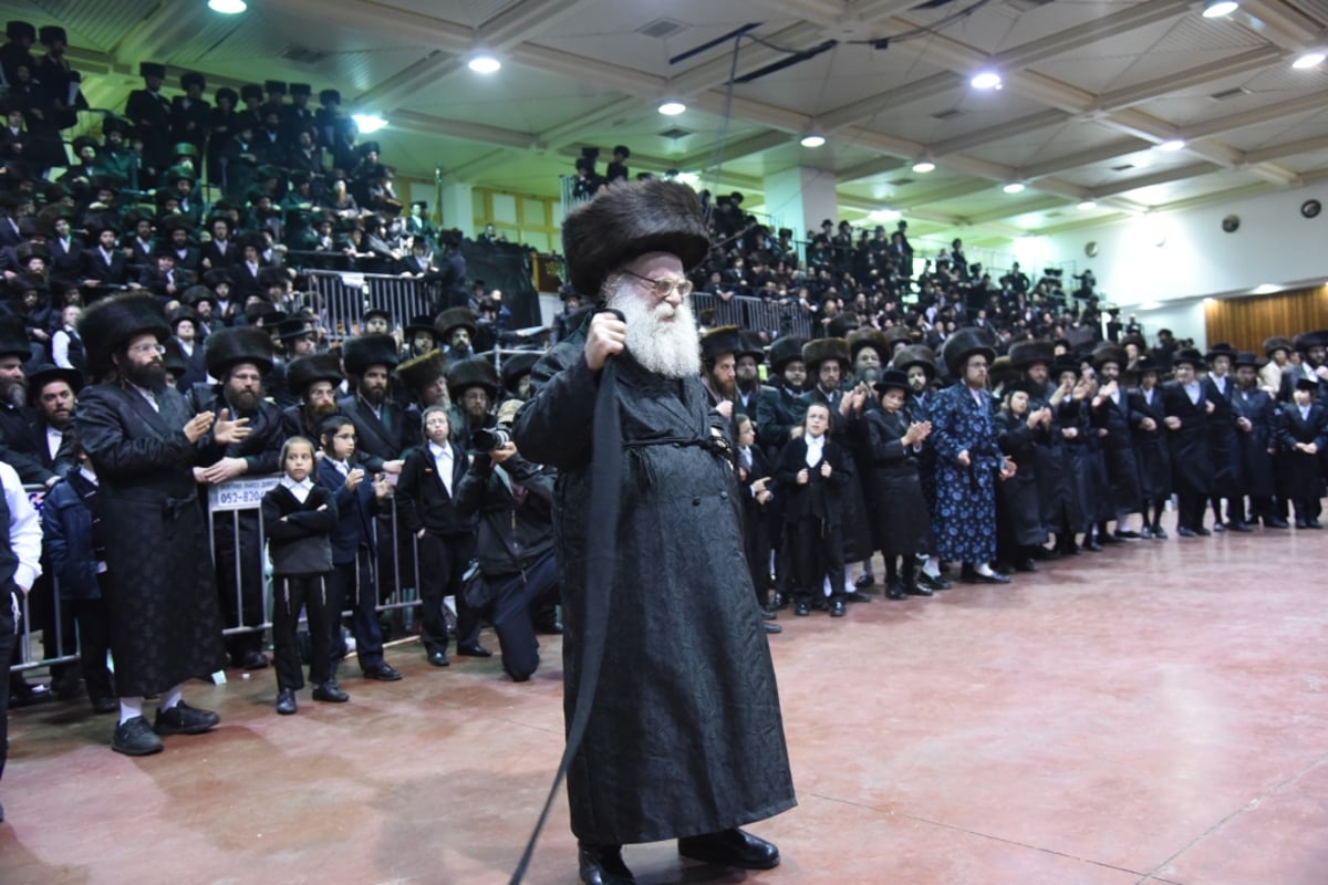 צפו: הרבי מצאנז רוקד לפני הכלה