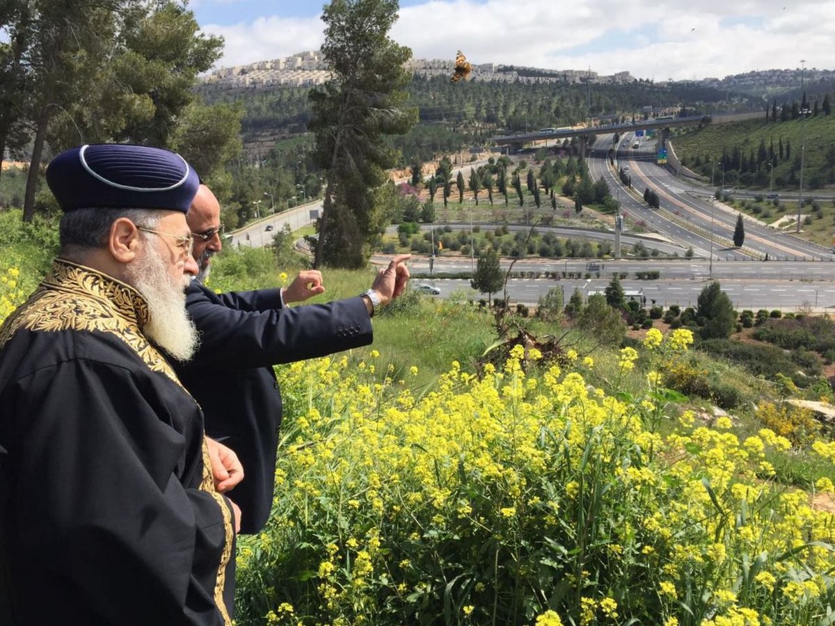 הפתרון של הראשל"צ הרב יצחק יוסף למחלוקת על רמות