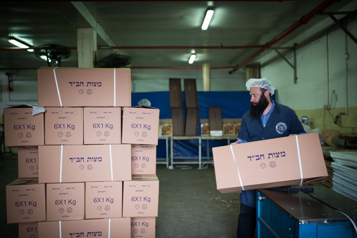 ערב פורים: בכפר חב"ד כבר אופים מצות • צפו