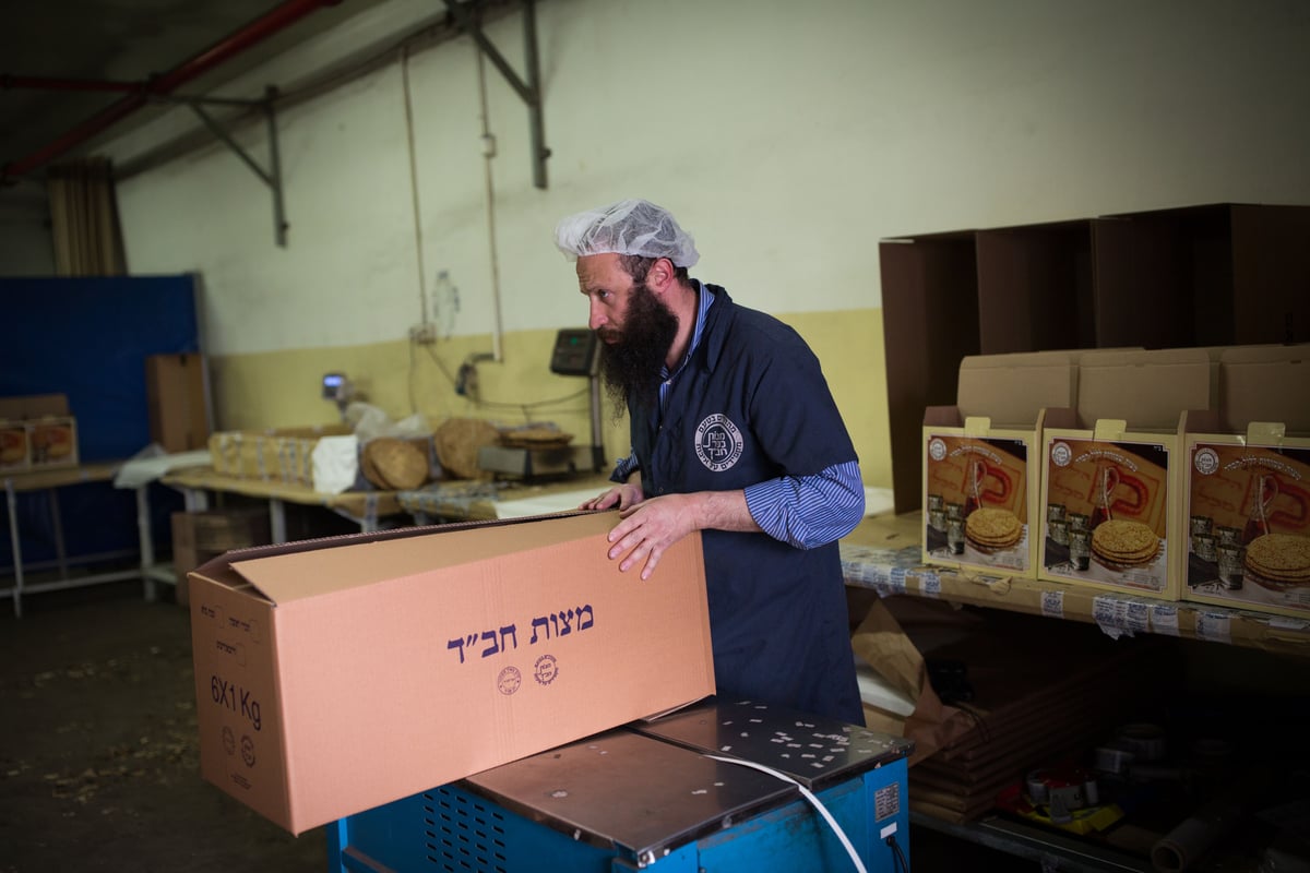 ערב פורים: בכפר חב"ד כבר אופים מצות • צפו