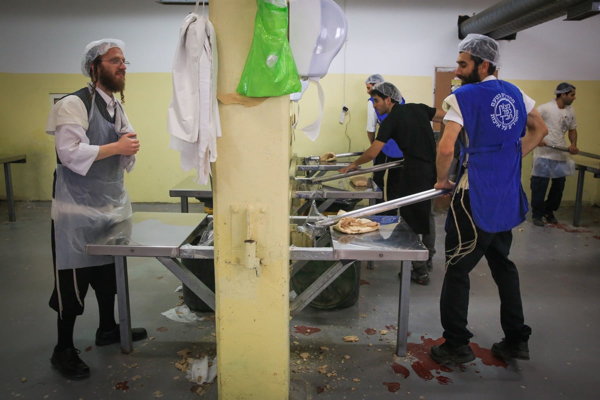 ערב פורים: בכפר חב"ד כבר אופים מצות • צפו