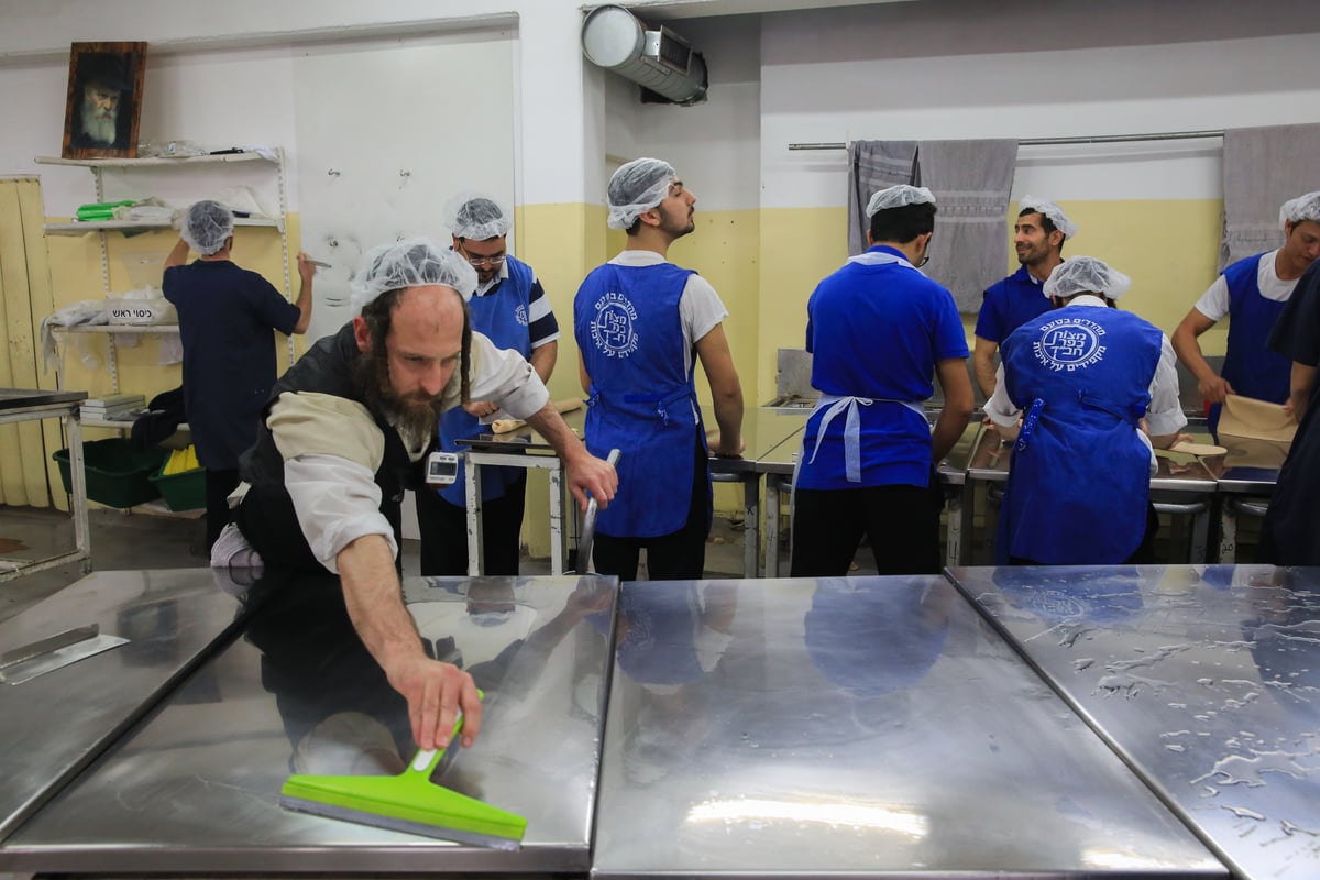 ערב פורים: בכפר חב"ד כבר אופים מצות • צפו