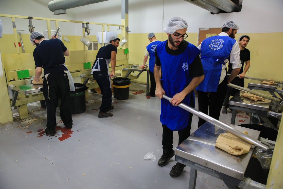 ערב פורים: בכפר חב"ד כבר אופים מצות • צפו