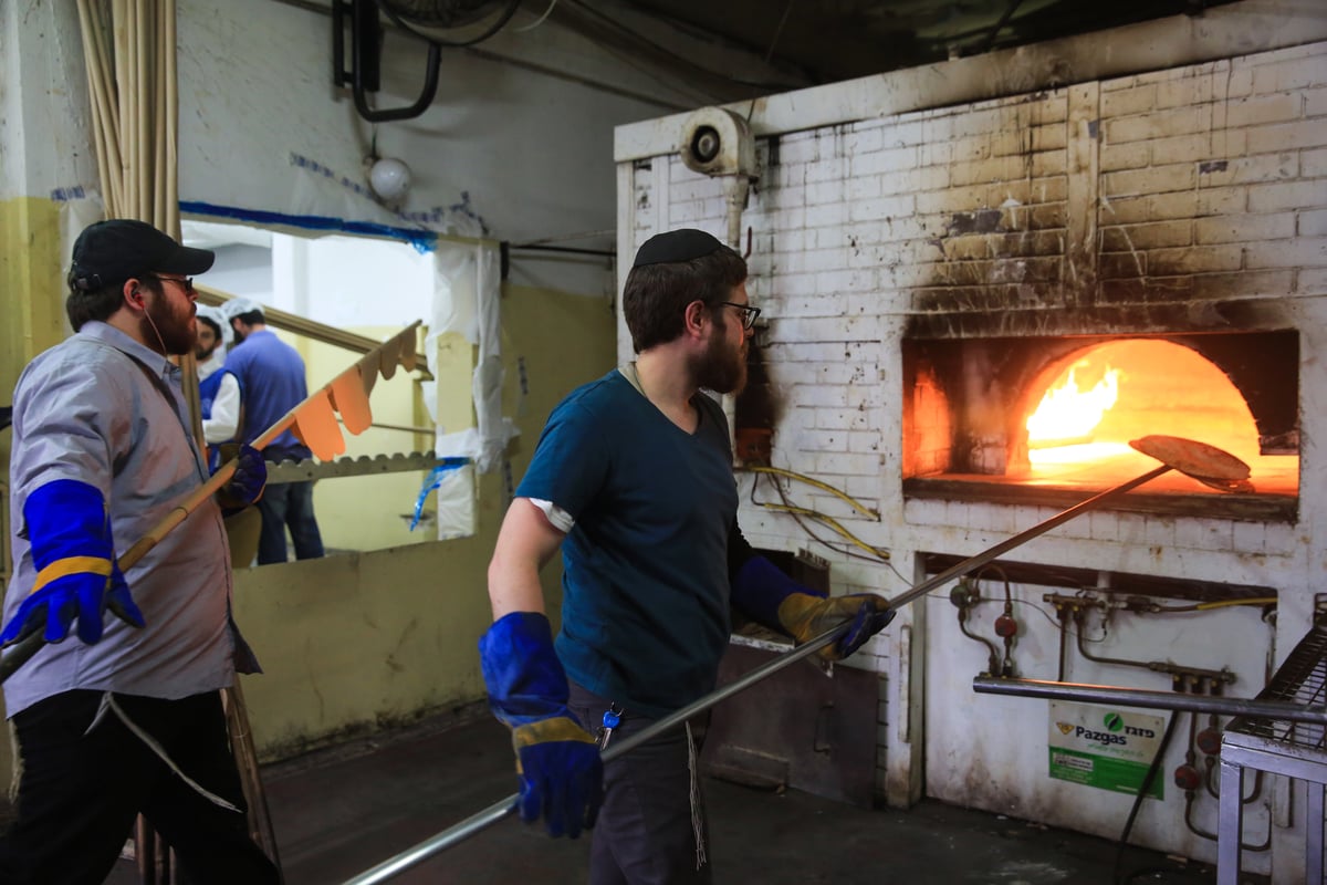 ערב פורים: בכפר חב"ד כבר אופים מצות • צפו