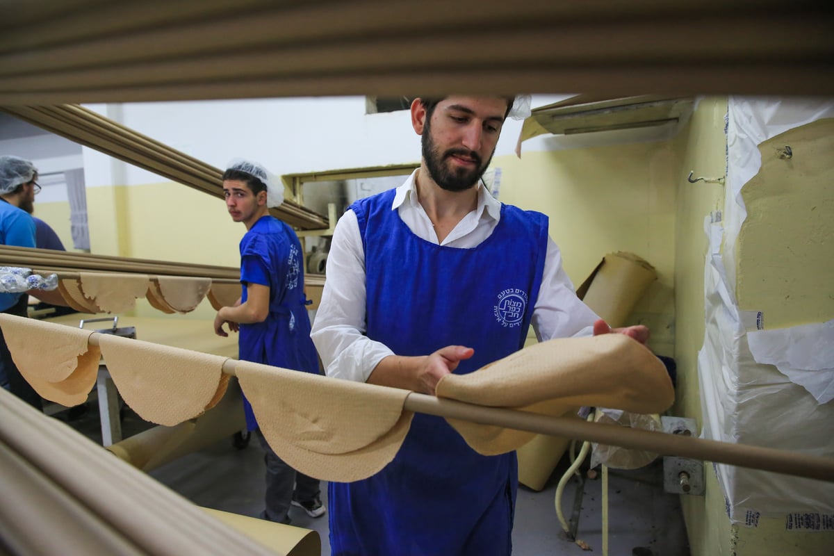 ערב פורים: בכפר חב"ד כבר אופים מצות • צפו