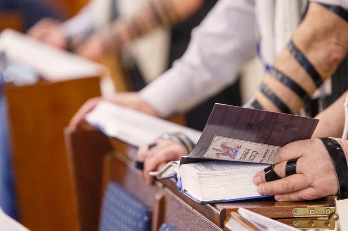 גלריה פורימית מחג פורים במוסקבה • צפו