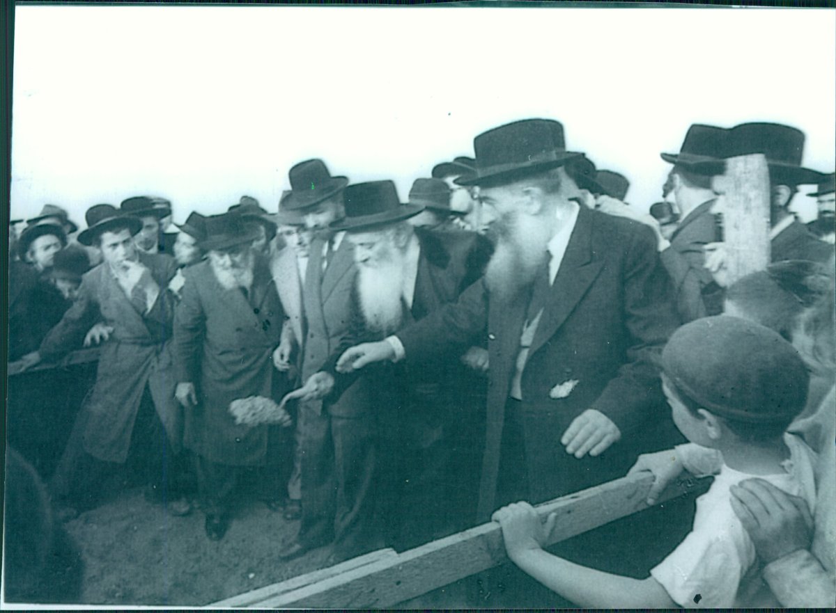 ויז'ניץ לובשת חג: הערב הנחת אבן הפינה