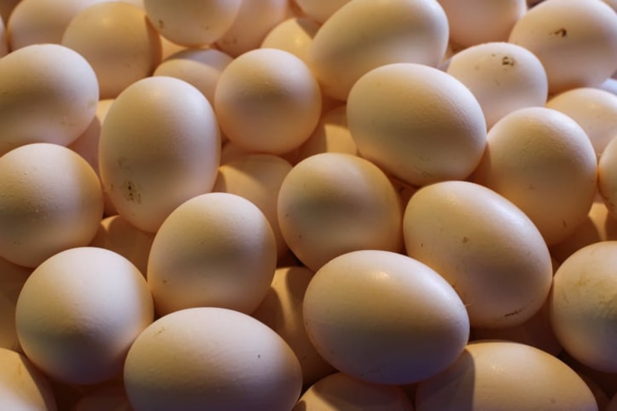 איתן כבל: "עלול להיווצר מחסור של ביצים בפסח"