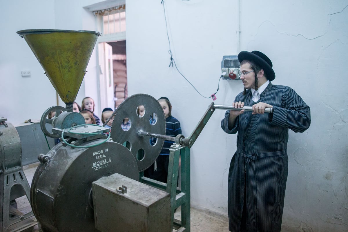 הילדים צפו בטחינת החיטים עבור אפיית מצות • תיעוד