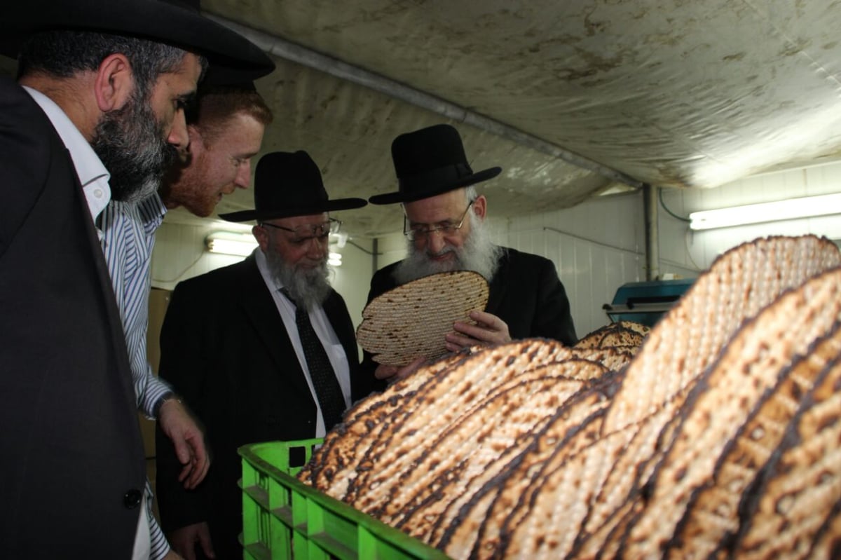 חבר המועצת הגאון רבי ראובן אלבז באפיית מצות